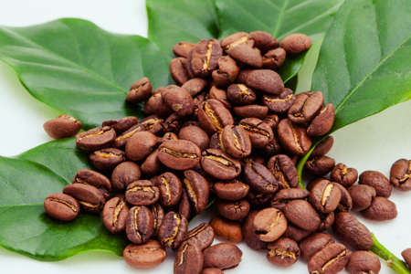 A pile of coffee beans sit upon some coffee plant leavesの写真素材