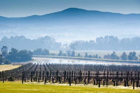 Domaine Chandon winery on a cold winterの写真素材