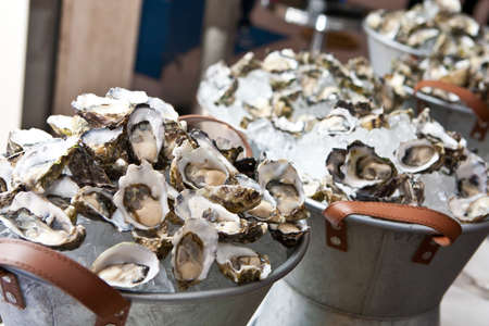 Fresh oysters lay in buckets at a cocktail party ready for consumptionの写真素材