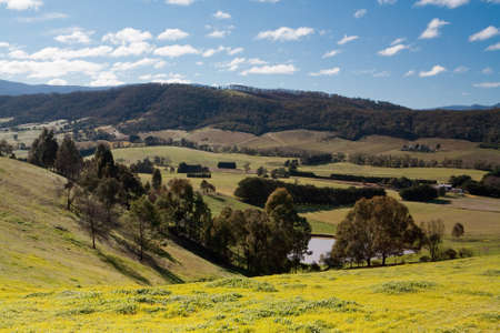A view from Old Healesville Road across a valley in the Yarra Valley in Victoria, Australiaの写真素材