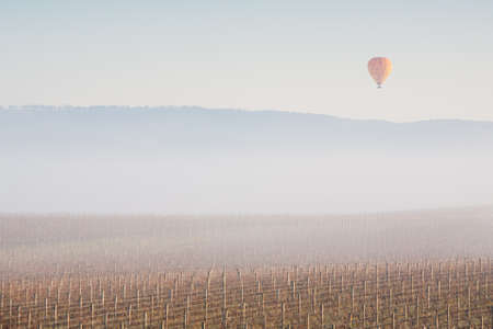Hot Air Balloon at Sunrise over the Yarra Valley In Winterの写真素材