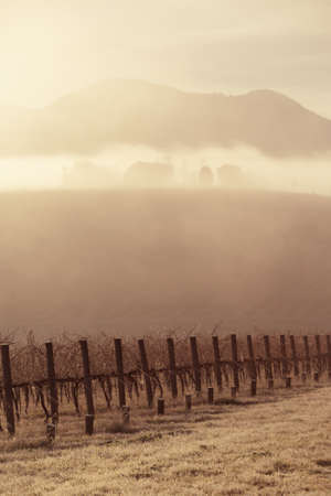 Sunrise with fog on a cold winterの写真素材