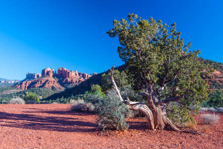 Cathedral Rock near Sedona on a winter's afternoon in Arizona, USAの写真素材