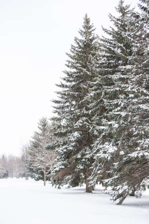 The Fargo Country Club covered in snow after a storm in North Dakota, USAの写真素材