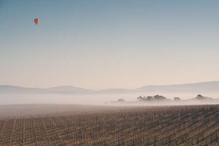 Hot Air Balloon at Sunrise over the Yarra Valley In Winterの写真素材