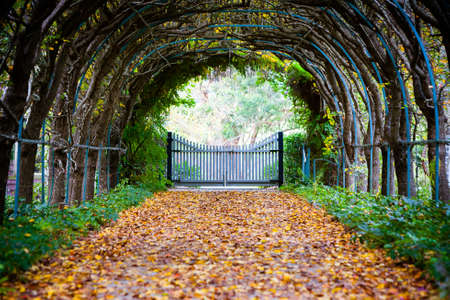 A walking path in Tilba Tilba on an autumn afternoon in New South Wales, Australiaの写真素材