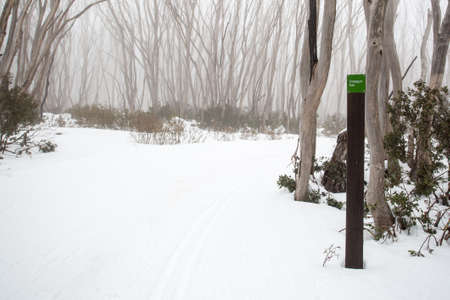 Lake Mountain Ski Trailの写真素材
