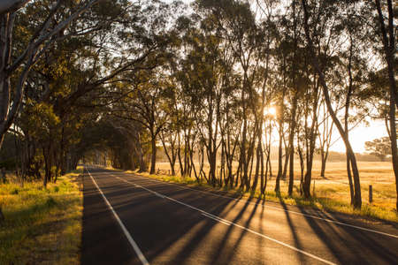 Australian Country Road at Sunsetの写真素材