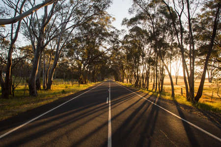 Australian Country Road at Sunsetの写真素材