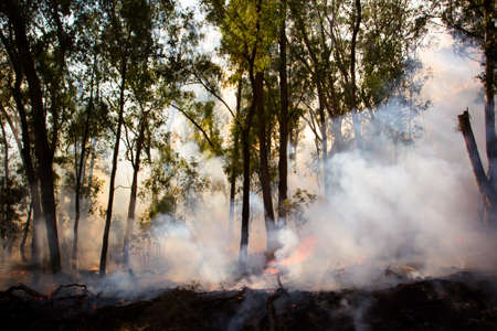 A controlled fire burn occurs near Whitfield in the King Valley, Victoria, Australiaの写真素材