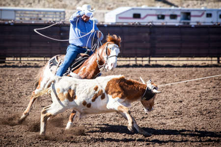 Wickenburg, USA - February 5, 2013: Riders compete in a team roping competition in Wickenburg, Arizona, USAのeditorial素材