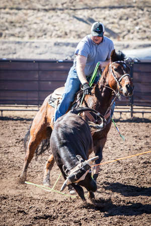 Wickenburg, USA - February 5, 2013: Riders compete in a team roping competition in Wickenburg, Arizona, USAのeditorial素材