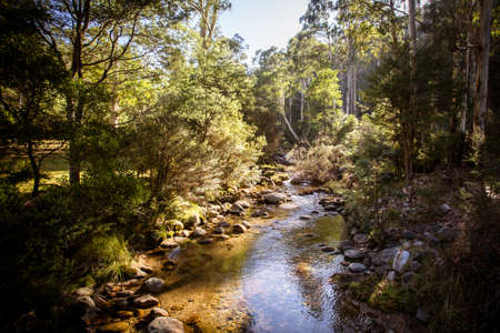 Leather Barrel Creek near Thredbo in New South Wales, Australiaの写真素材