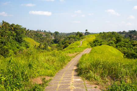 The famous Campuhan Ridge Walk in Ubud, Bali, Indonesiaの写真素材