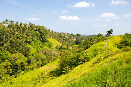 The famous Campuhan Ridge Walk in Ubud, Bali, Indonesiaの写真素材