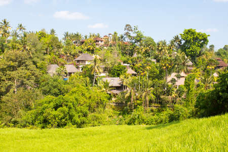 The famous Campuhan Ridge Walk in Ubud, Bali, Indonesiaの写真素材