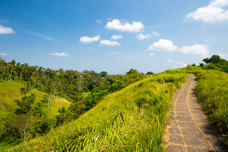 The famous Campuhan Ridge Walk in Ubud, Bali, Indonesiaの写真素材
