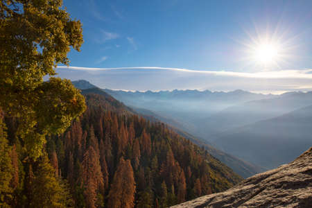 Autumn sunrise over redwood trees at Moro Rock in Sequoia National Park, California, USAの写真素材