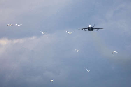 RAAF A44 Boeing FA-18F Super Hornet
