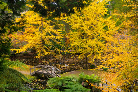 Alfred Nicholas Memorial Gardensの写真素材