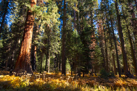Crescent Meadow Picnic Area