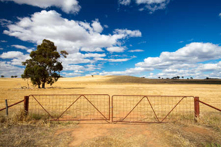 The vast expanse of farm fields in the Moolort Plains near the old townships of Maldon and Castlemaine in the goldfields region of Victoria, Australiaの写真素材
