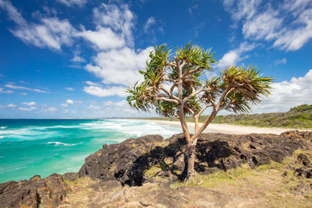 Fingal Head Dreamtime Beachの写真素材