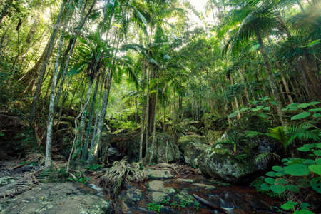Warringa Pool Gold Coast