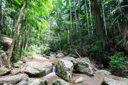 Wollumbin National Parkの写真素材