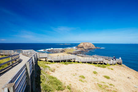 The Nobbies Landscape at Philip Islandの写真素材