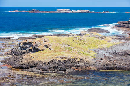 The Nobbies and surrounding landscape on a warm summer's day in Philip Island, Victoria, Australiaの写真素材