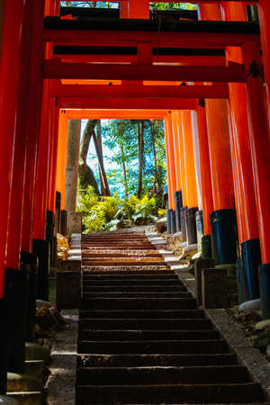 Fushimi Inari Shrine Kyoto Japanの写真素材