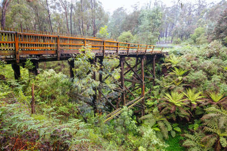 The famous Noojee Trestle Rail Bridge on a cool wet spring day in Victoria Australiaの写真素材