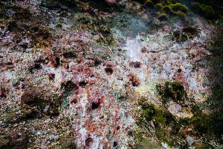 Wairakei Natural Thermal Valley in New Zealandの写真素材