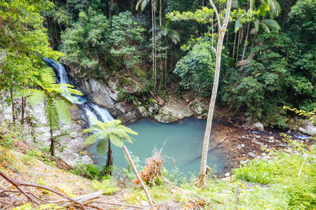 Cougal Cascades Walk in QLD Australia
