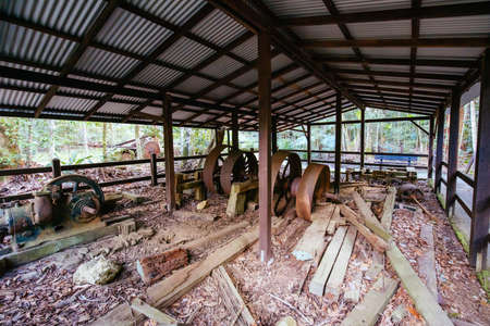 Cougal Cascades Walk in QLD Australiaの写真素材