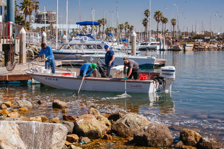 Dead Fish Cleanup Los Angeles USA