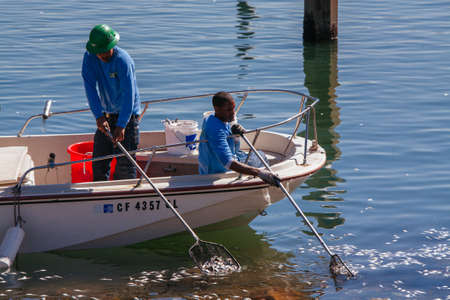 Dead Fish Cleanup Los Angeles USA