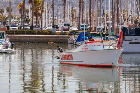 Dead Fish Cleanup Los Angeles USA