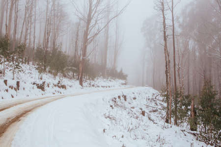Windy Australian Road in Snow