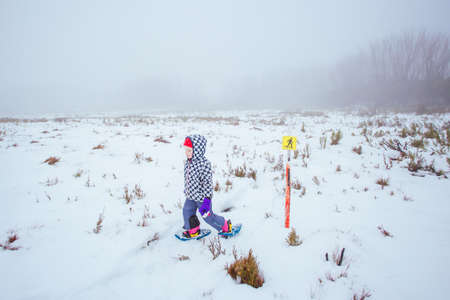 Lake Mountain Scenery in Australiaの写真素材