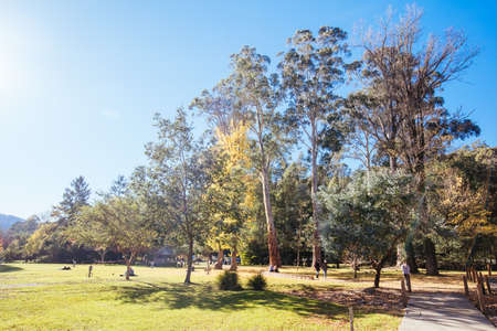Marysville in Autumn Colours in Australiaのeditorial素材
