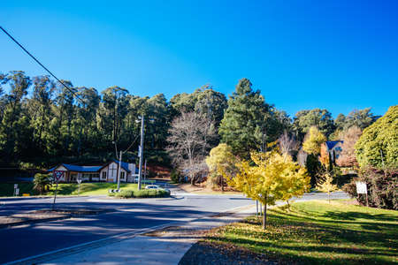 Marysville in Autumn Colours in Australiaのeditorial素材