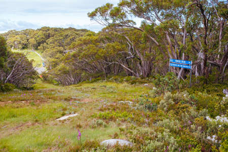 Mt Baw Baw Walking Trails in Summer in Australiaの写真素材