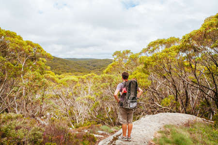 Mt Baw Baw Walking Trails in Summer in Australiaの写真素材