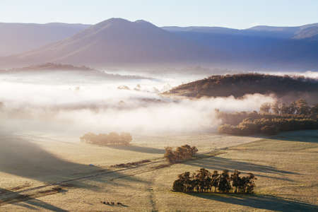 Yarra Valley Fog at Sunriseの写真素材