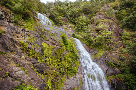 Views from Kuranda Scenic Railway in Australiaの写真素材
