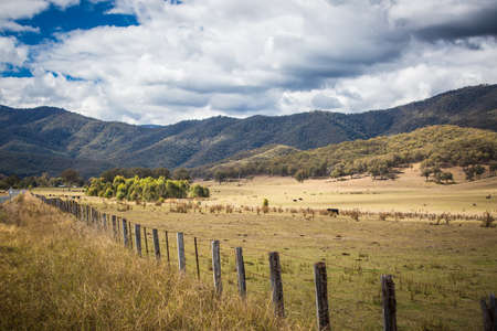 Australian Road Scene near Snowy Mountains