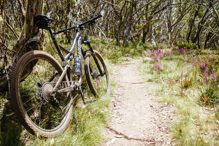 Mountain Bike Trail at Mt Buller in Australiaの写真素材