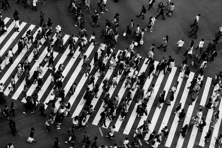 TOKYO, JAPAN - MAY 12, 2019 - Shibuya Crossing is one of the world's most used pedestrian crossings,...